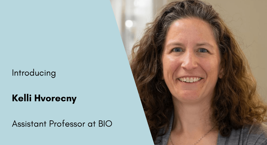 Introducing Kelli Hvorecny