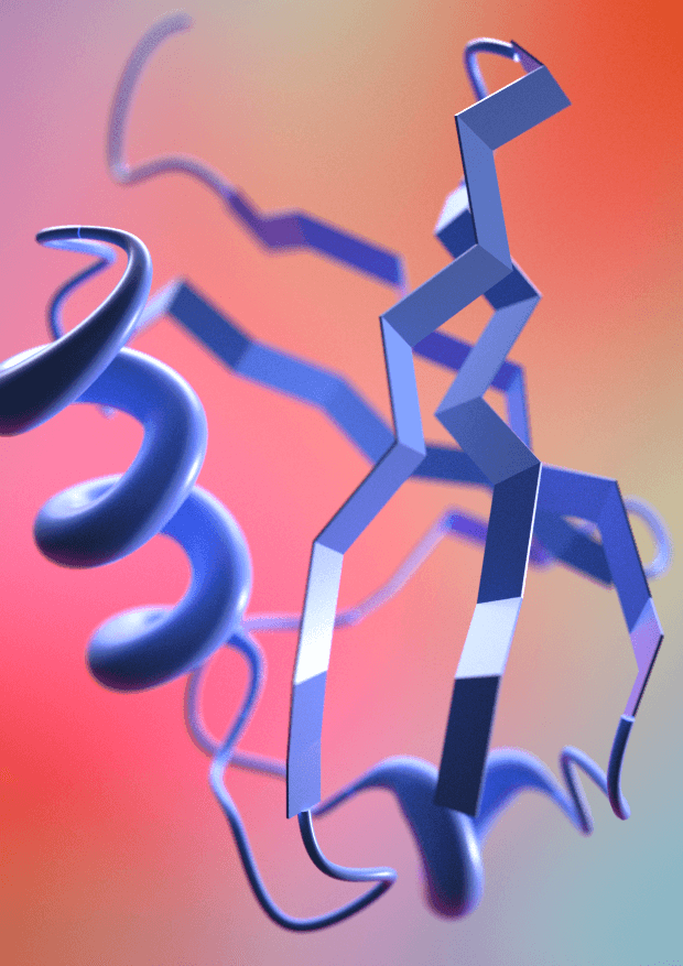 Ubiquitin2